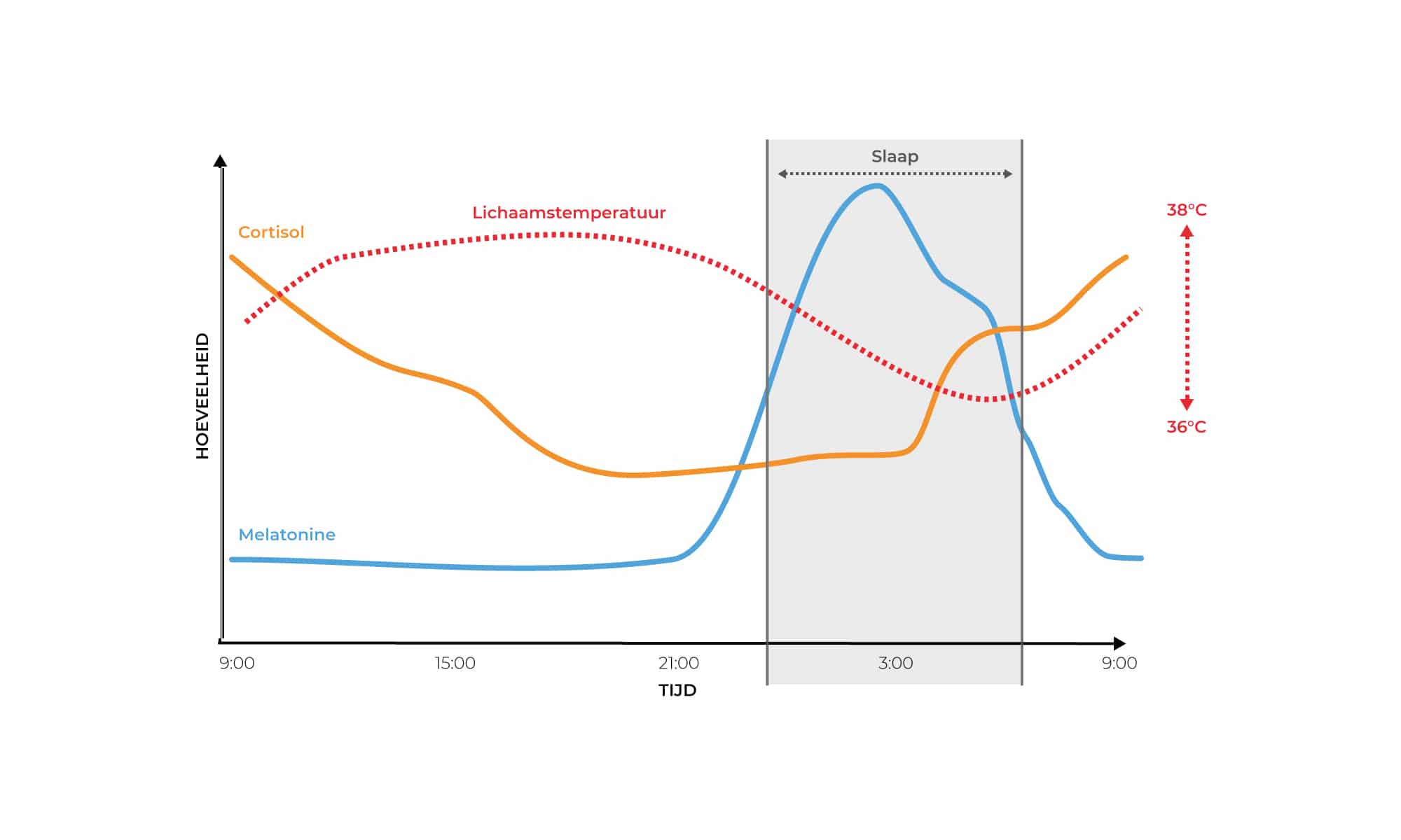 Cortisol melatonine curve